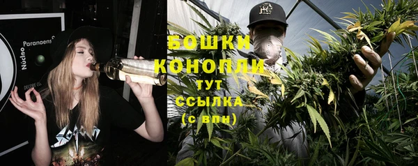 дмт Абаза