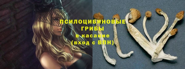 дмт Абаза