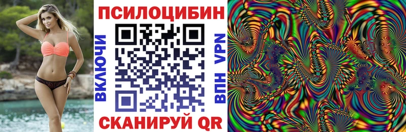 Псилоцибиновые грибы Psilocybe  где купить наркотик  Калач 