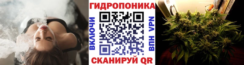 что такое   Калач  Шишки марихуана конопля 